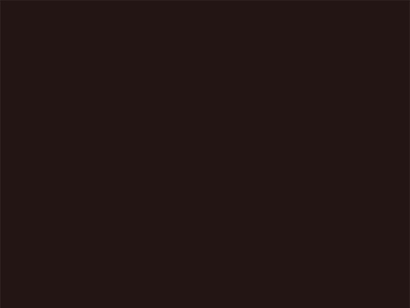 Pure Brown - Muestra de Cuarzo